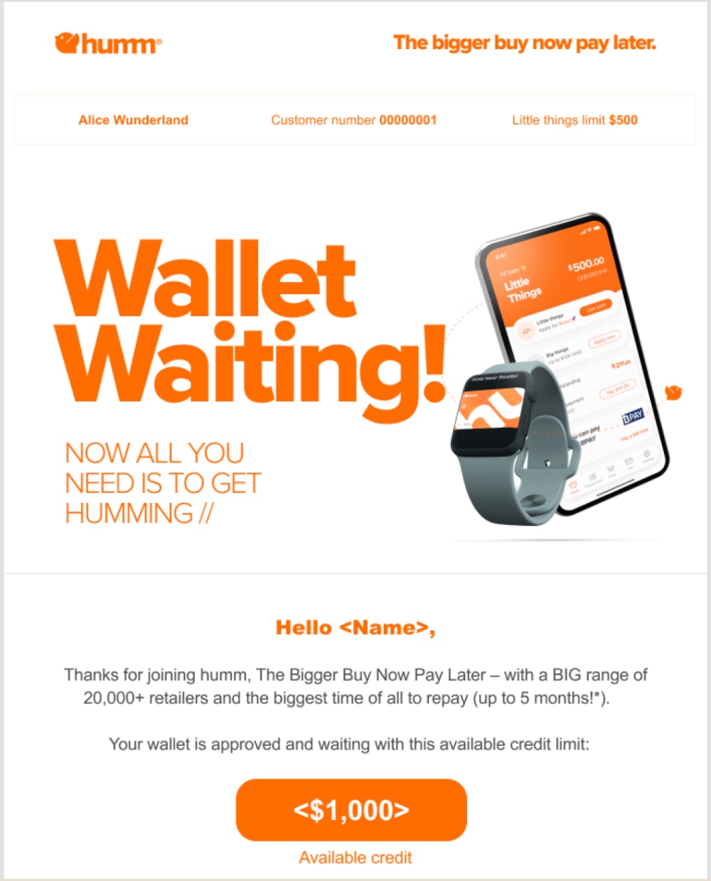 humm 'Wallet Waiting!' welcome email – your wallet is approved and waiting.